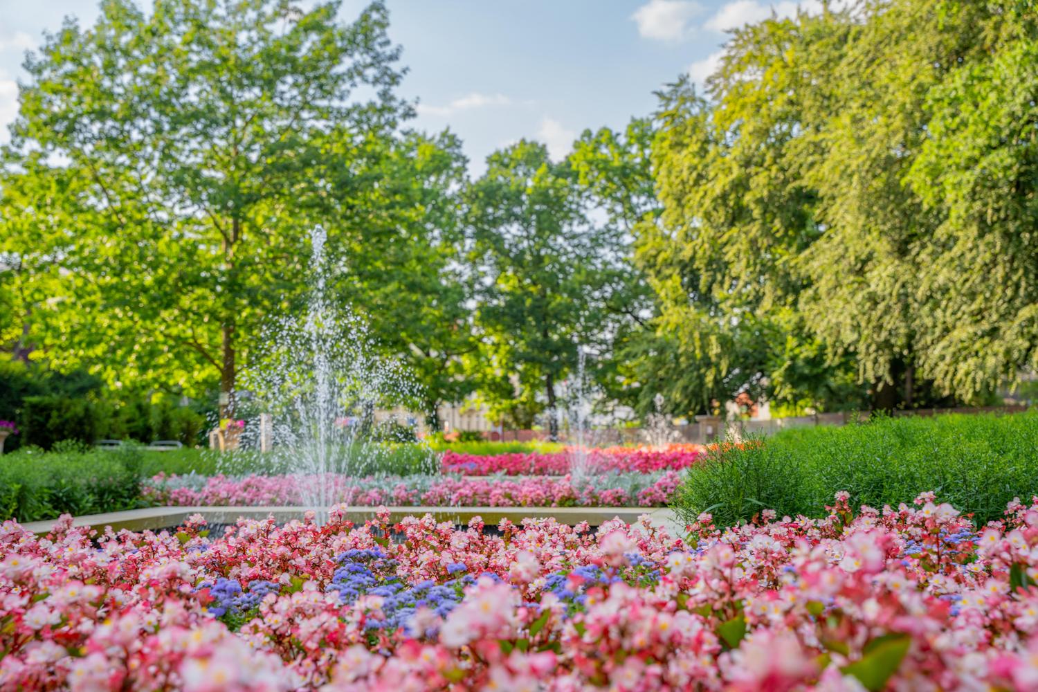Sonnengarten