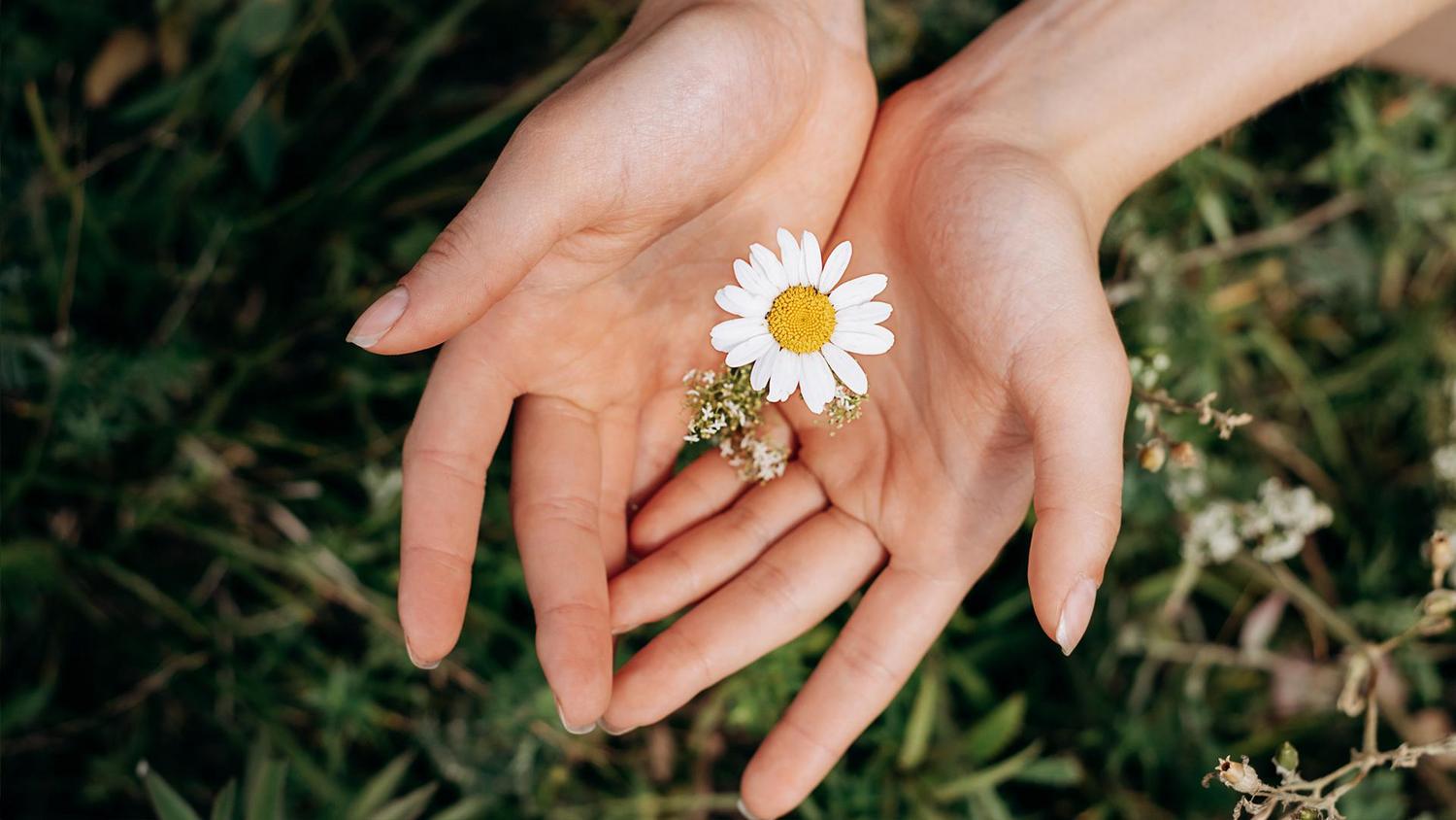 Laga Aktuelles Header 2