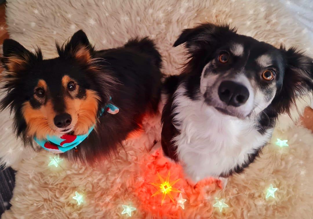 E403cda2 3605 4cea 91e9 Cb448f288d8f