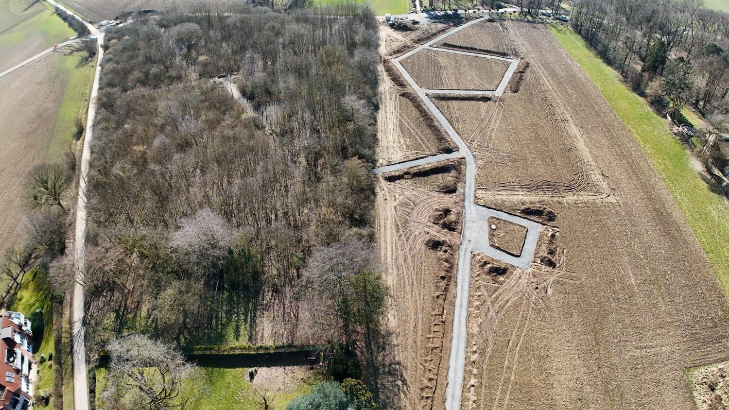 02 Wiese Waeldchen 01