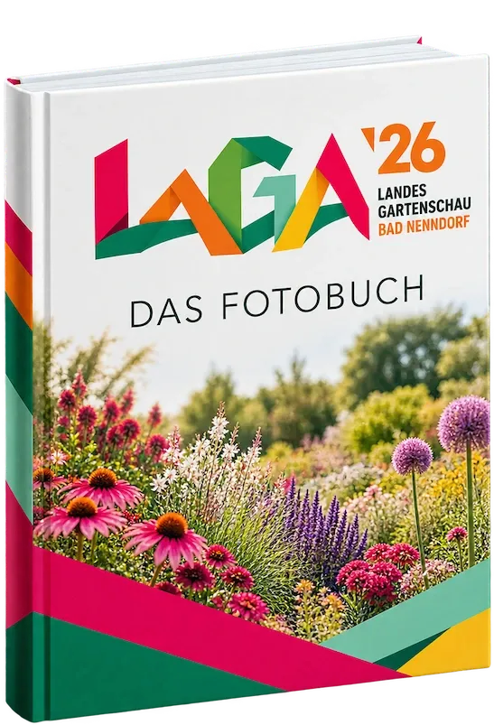Buch B96fb0c140f4256c3760359a4a005687