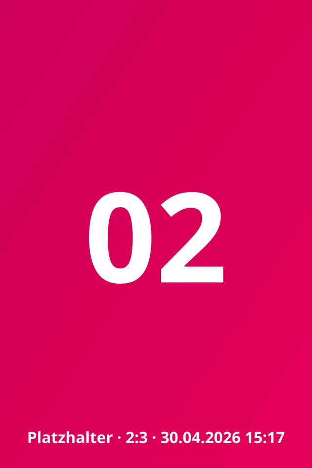 Motiv 3