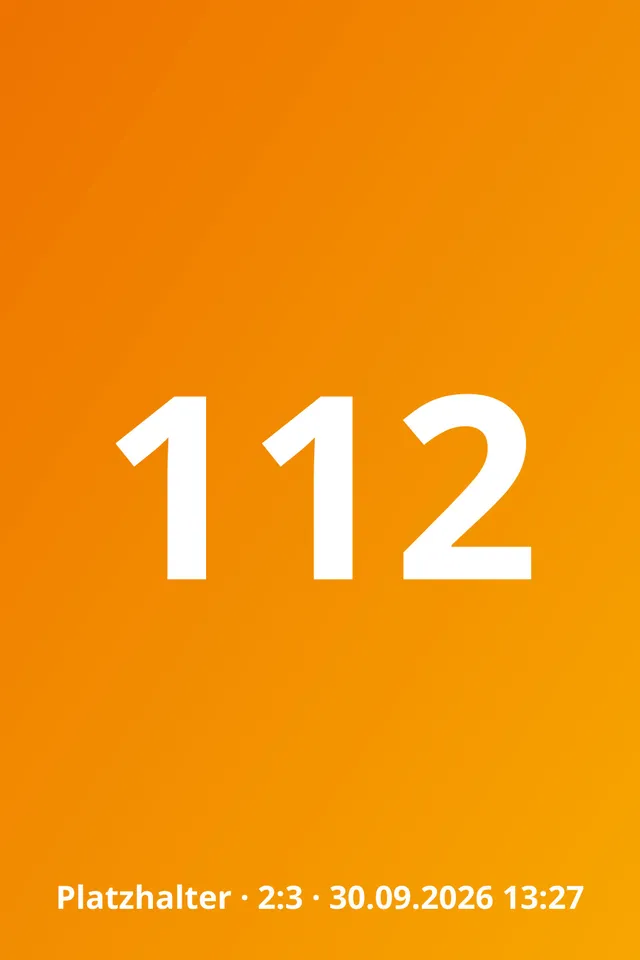 Motiv 117