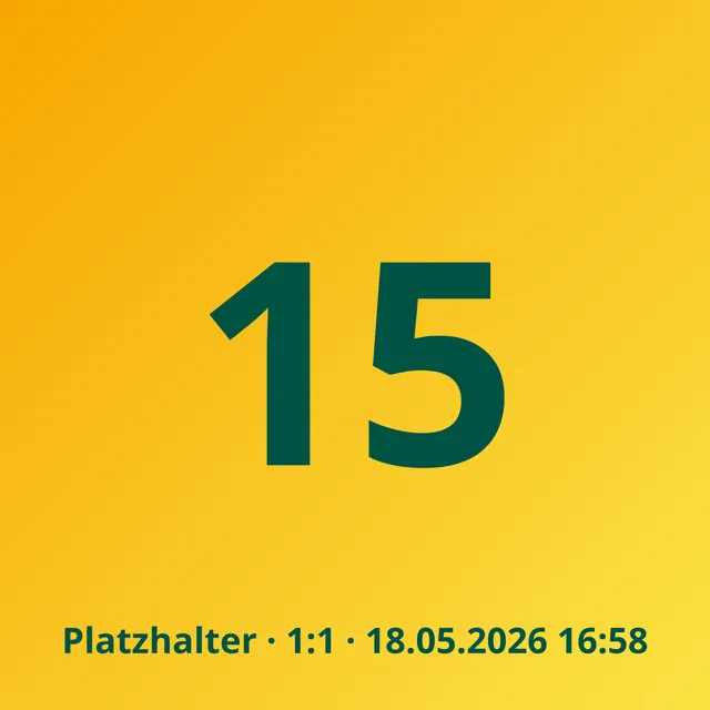 Motiv 17