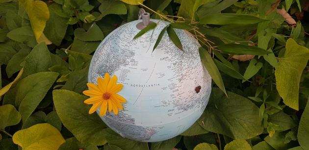 WVG Nord Weltreise 5