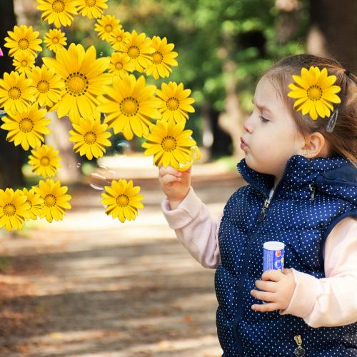 Medienmobil2verwildern