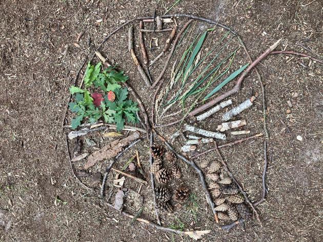 Elkebohnmandala Aus Naturmaterial Foto Elke Bohn