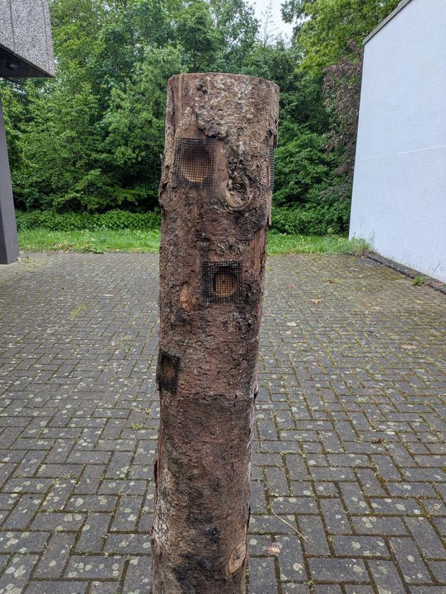 Titelbild